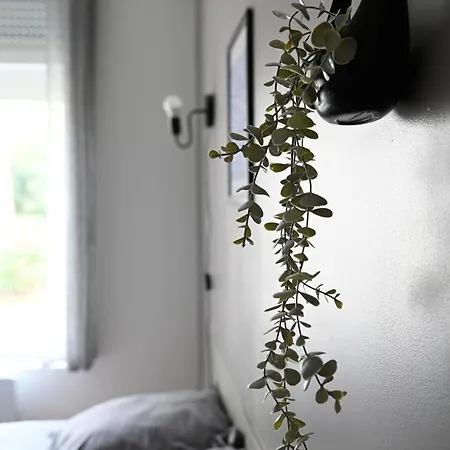 Zenkaserenity-ferme Paisible Centre Chu-wifi-pro